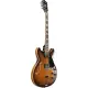 Ibanez AS7328 TBC