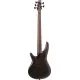 Ibanez Premium SR1325SB IVF
