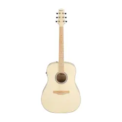 Ibanez Advanced Acoustic AAD77M1E OAW