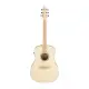Ibanez Advanced Acoustic AAD77M1E OAW