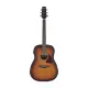 Ibanez Advanced Acoustic AAD54E OMH