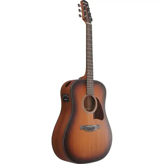 Ibanez Advanced Acoustic AAD54E OMH