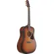 Ibanez Advanced Acoustic AAD54E OMH