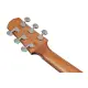 Ibanez Advanced Acoustic AAD54E OMH