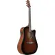 Ibanez Advanced Acoustic AAD51CE DVS