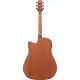 Ibanez Advanced Acoustic AAD51CE DVS