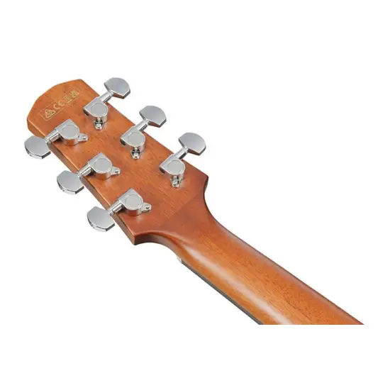 Ibanez Advanced Acoustic AAD51CE DVS
