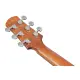 Ibanez Advanced Acoustic AAD51CE DVS