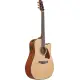 Ibanez Advanced Acoustic AAD51CE NT