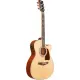 Ibanez Artwood AC390CE NT