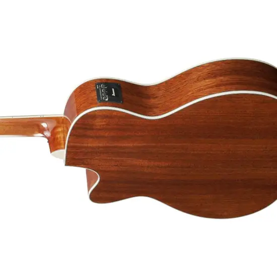 Ibanez Artwood AC390CE NT