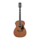 Ibanez Artwood AC390MHE OPN