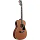 Ibanez Artwood AC390MHE OPN