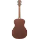 Ibanez Artwood AC390MHE OPN