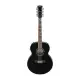 Ibanez Artwood AJ7012M1E BK