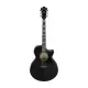 Ibanez AE170 TBK