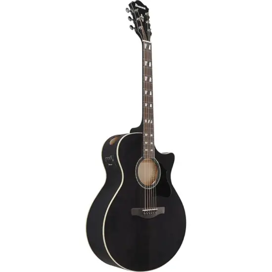 Ibanez AE170 TBK