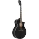 Ibanez AE170 TBK