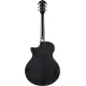 Ibanez AE170 TBK