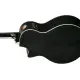 Ibanez AE170 TBK