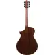 Ibanez AEWC16QA TEH