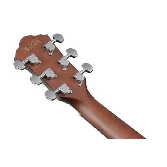 Ibanez AEWC16QA TEH