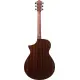 Ibanez AEWC16QA TLH