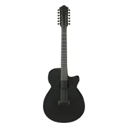 Ibanez AEG1221 BOT
