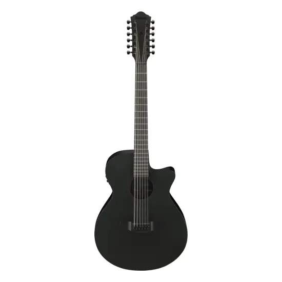 Ibanez AEG1221 BOT
