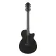 Ibanez AEG1221 BOT