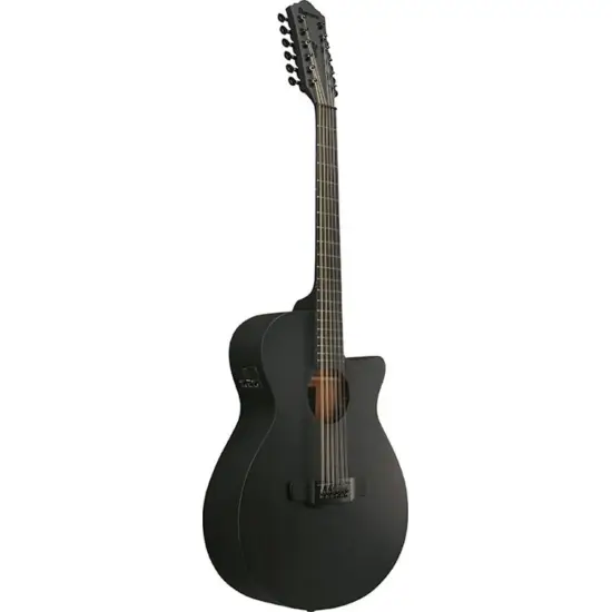 Ibanez AEG1221 BOT