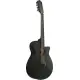 Ibanez AEG1221 BOT