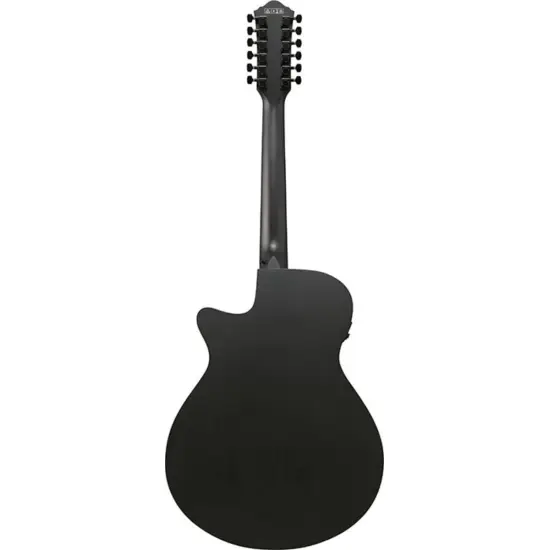 Ibanez AEG1221 BOT