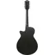 Ibanez AEG1221 BOT