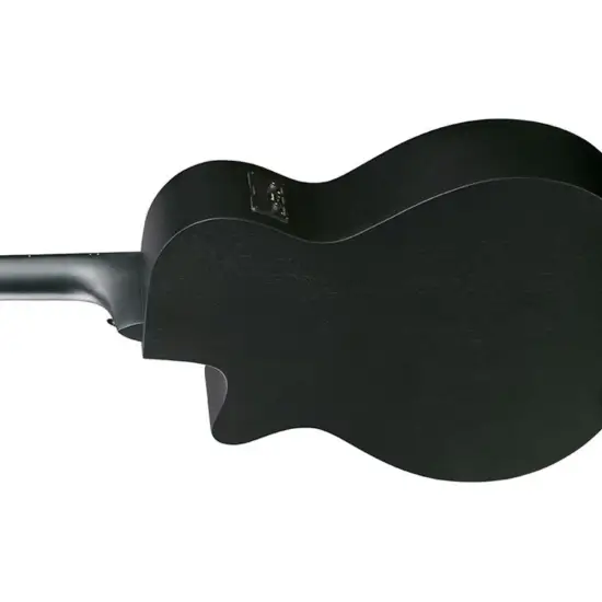 Ibanez AEG1221 BOT