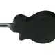 Ibanez AEG1221 BOT