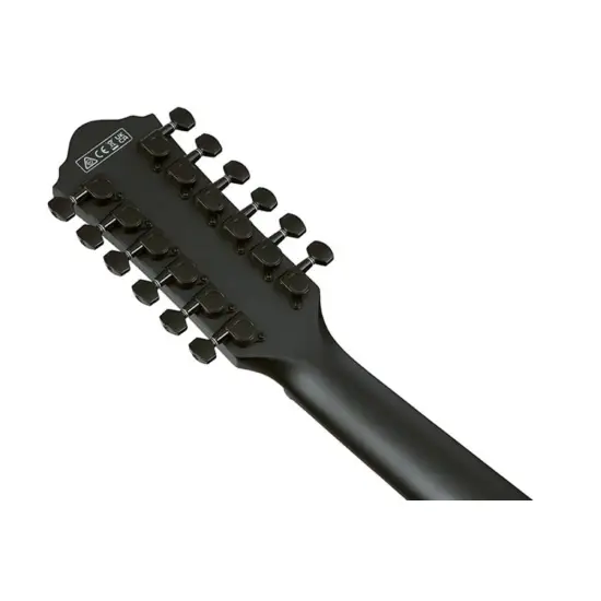 Ibanez AEG1221 BOT