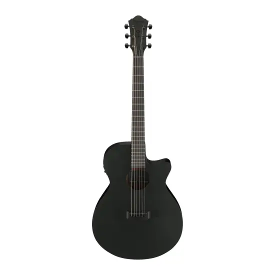 Ibanez AEG621 BOT