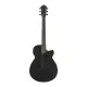 Ibanez AEG621 BOT