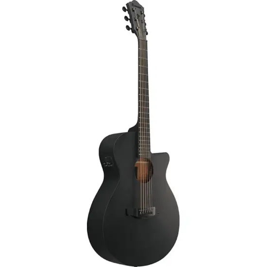 Ibanez AEG621 BOT