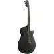 Ibanez AEG621 BOT