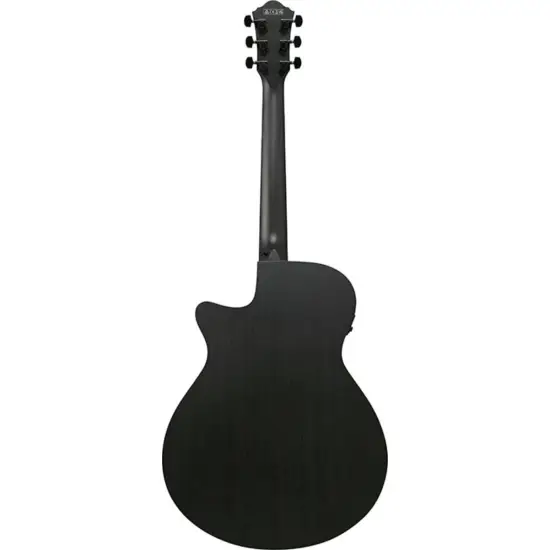 Ibanez AEG621 BOT