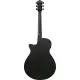 Ibanez AEG621 BOT