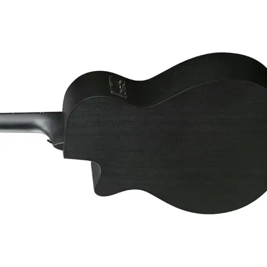 Ibanez AEG621 BOT