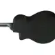 Ibanez AEG621 BOT