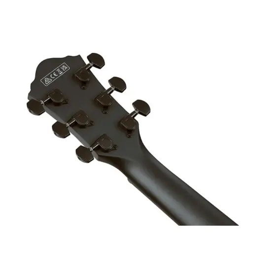 Ibanez AEG621 BOT