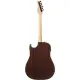 Ibanez Altstar ALT50FA BDB