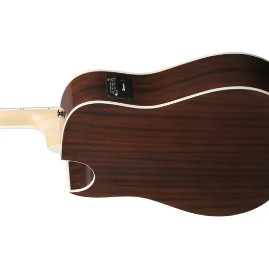 Ibanez Altstar ALT50FA BDB