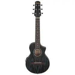 Ibanez EWP16EWB GAO