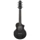Ibanez EWP16EWB GAO